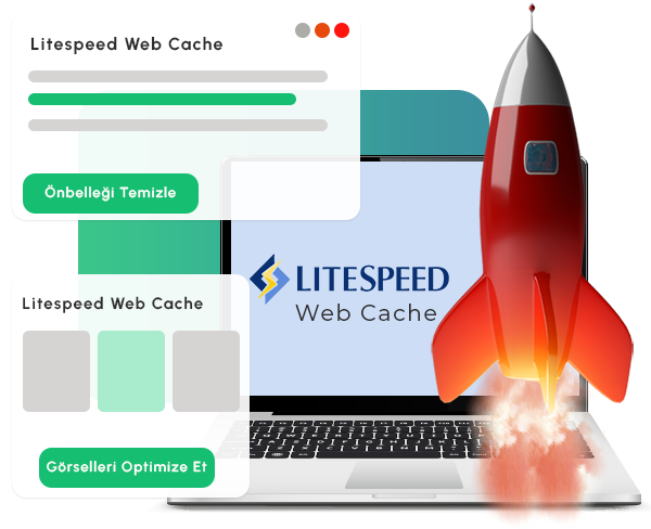 LiteSpeed Web Cache