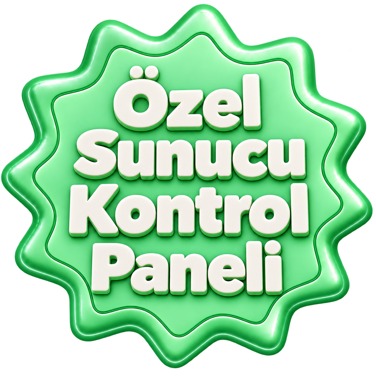 Özel sunucu kontrol paneli